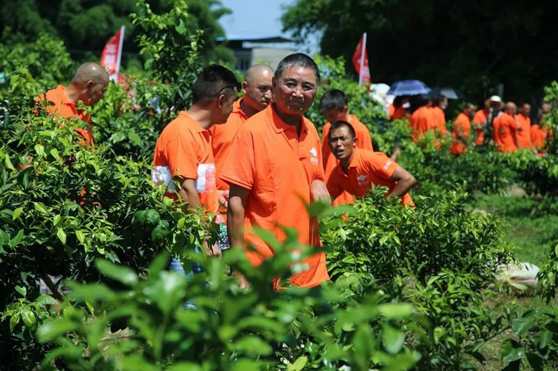 Shock: 50 yuan for a Starscream? This time, the farmers have something to say